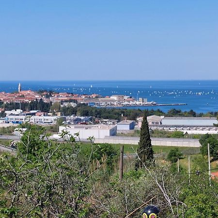 Apartma Lili Izola Kültér fotó